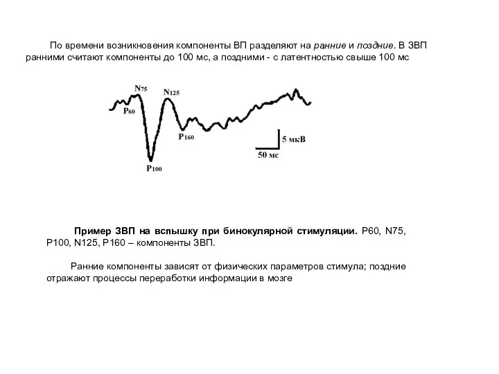 По времени возникновения компоненты ВП разделяют на ранние и поздние. В ЗВП