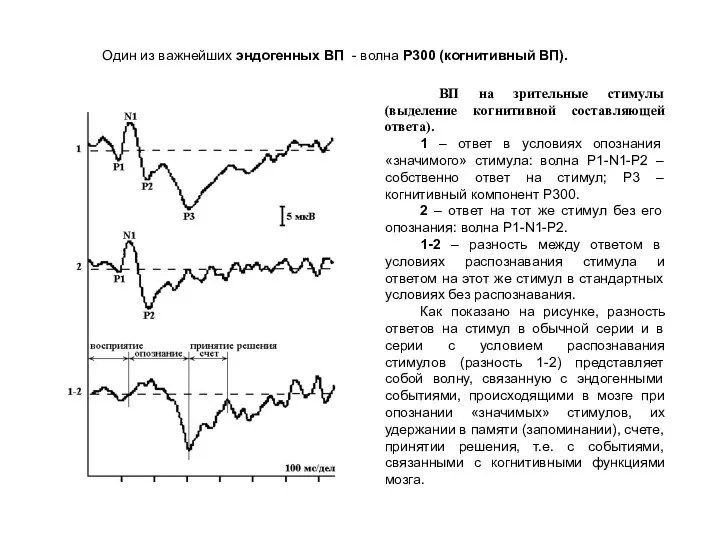 Один из важнейших эндогенных ВП - волна P300 (когнитивный ВП). ВП на