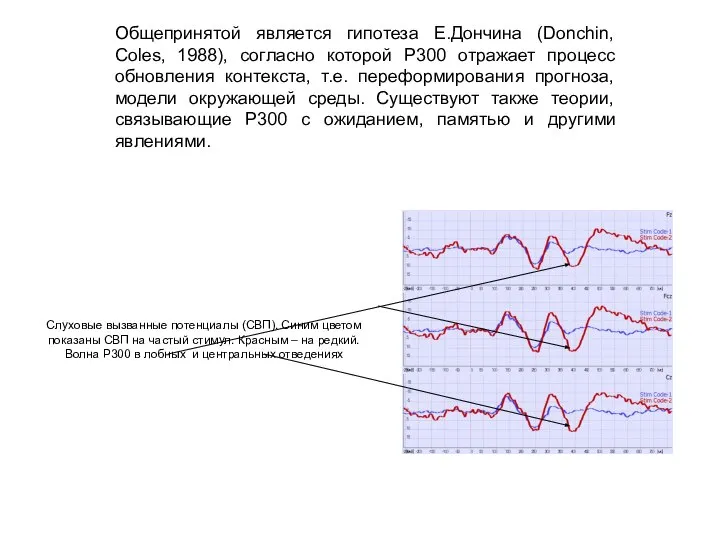 Общепринятой является гипотеза Е.Дончина (Donchin, Coles, 1988), согласно которой P300 отражает процесс