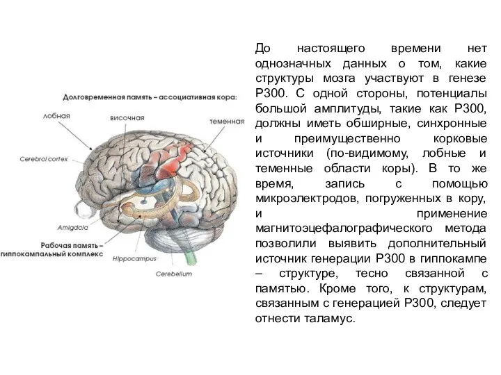 До настоящего времени нет однозначных данных о том, какие структуры мозга участвуют