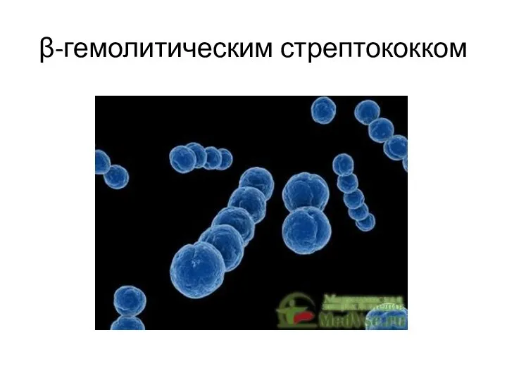 β-гемолитическим стрептококком