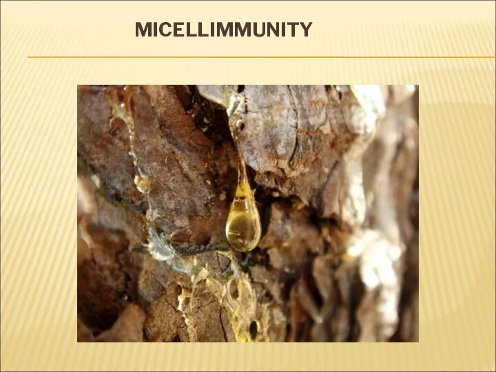 MICELLIMMUNITY