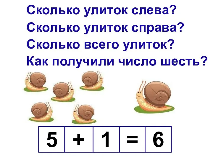 Сколько улиток слева? Сколько улиток справа? Сколько всего улиток? Как получили число