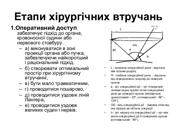 Етапи хірургічних втручань 1.Оперативний доступ забезпечує підхід до органа, кровоносної судини або