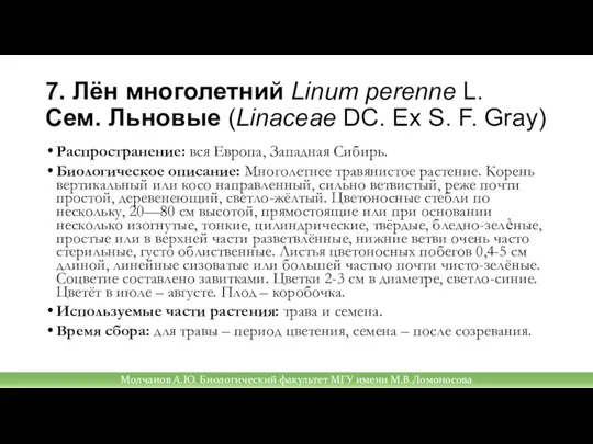 7. Лён многолетний Linum perenne L. Cем. Льновые (Linaceae DC. Ex S.