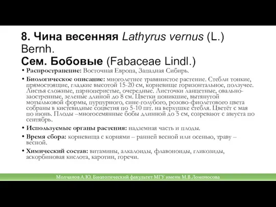8. Чина весенняя Lathyrus vernus (L.) Bernh. Сем. Бобовые (Fabaceae Lindl.) Распространение: