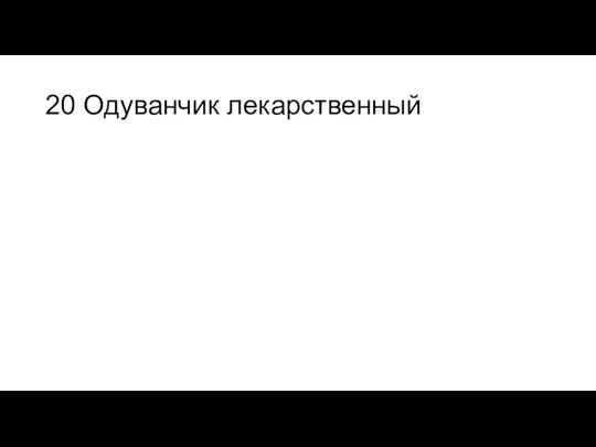 20 Одуванчик лекарственный