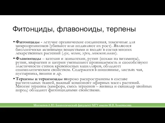 Фитонциды, флавоноиды, терпены Фитонциды - летучие органические соединения, токсичные для микроорганизмов (убивают