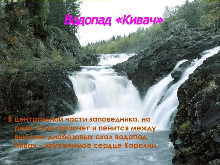 Водопад «Кивач» В центральной части заповедника, на реке Суне грохочет и пенится