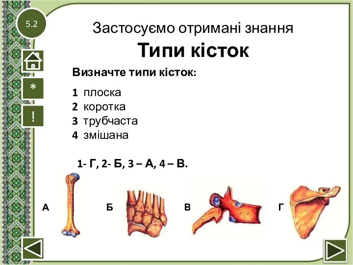 5.2 Застосуємо отримані знання Типи кісток ! А Б В Г *