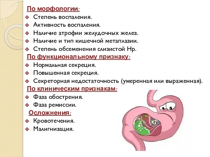 По морфологии: Степень воспаления. Активность воспаления. Наличие атрофии желудочных желез. Наличие и