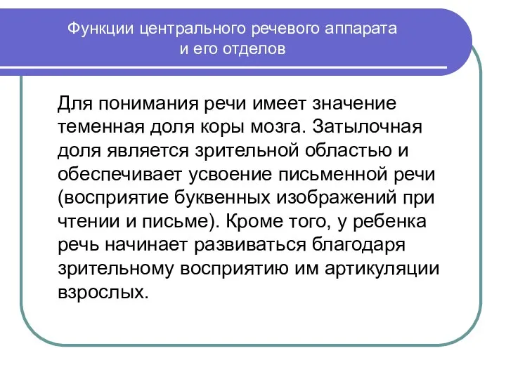 Функции центрального речевого аппарата и его отделов Для понимания речи имеет значение