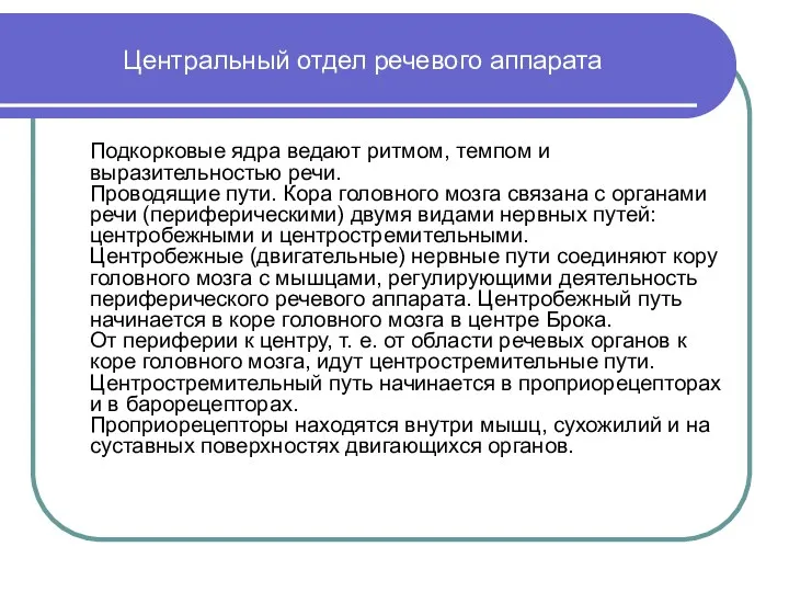 Центральный отдел речевого аппарата Подкорковые ядра ведают ритмом, темпом и выразительностью речи.