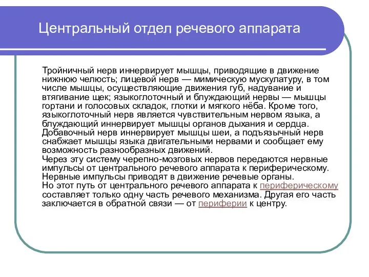 Центральный отдел речевого аппарата Тройничный нерв иннервирует мышцы, приводящие в движение нижнюю