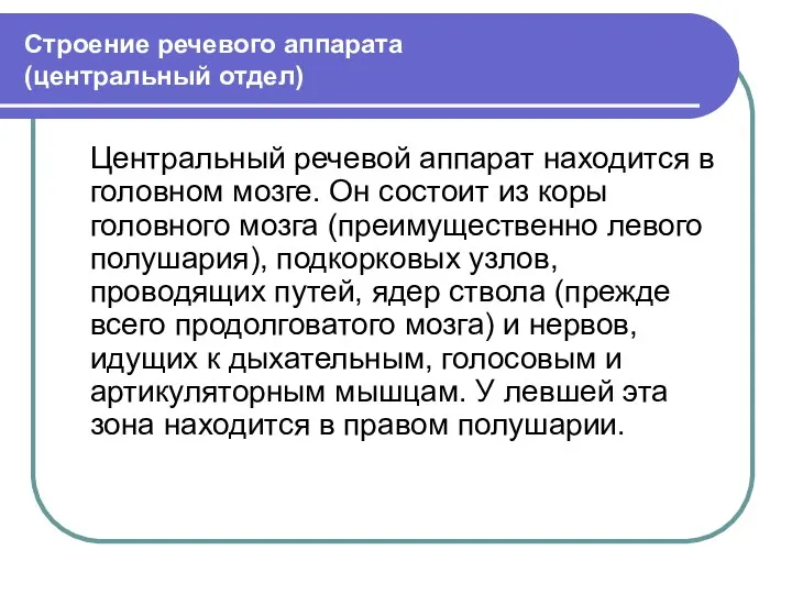 Строение речевого аппарата (центральный отдел) Центральный речевой аппарат находится в головном мозге.