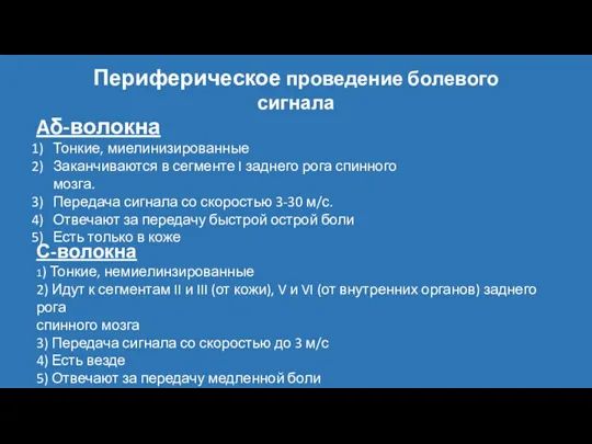 Периферическое проведение болевого сигнала Aδ-волокна Тонкие, миелинизированные Заканчиваются в сегменте I заднего