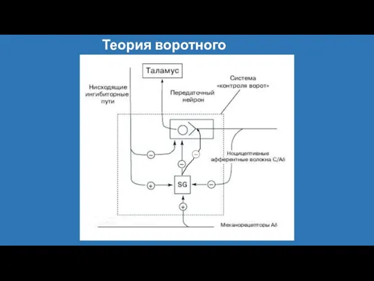 Теория воротного контроля