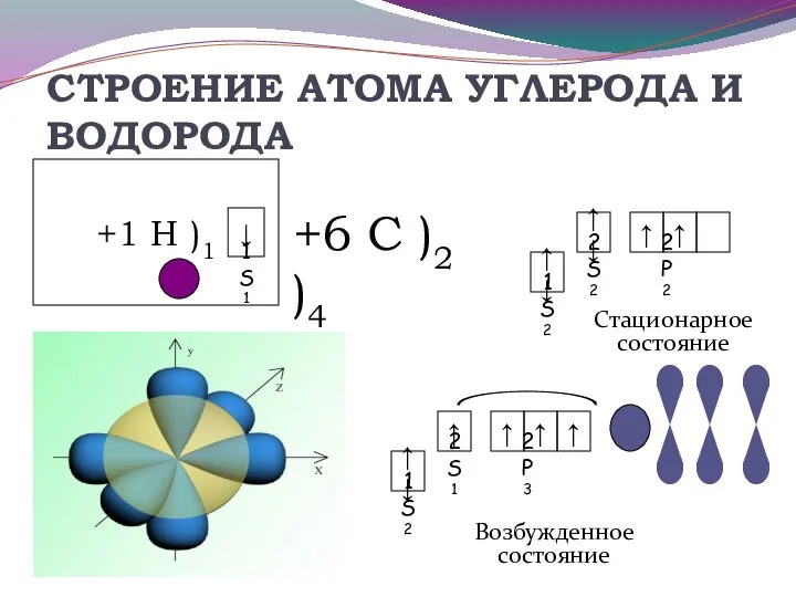 СТРОЕНИЕ АТОМА УГЛЕРОДА И ВОДОРОДА Возбужденное состояние +6 С )2 )4 Стационарное состояние