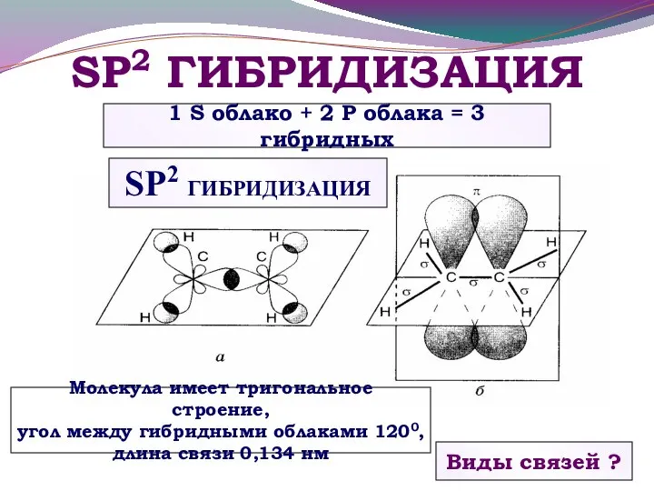 SP2 ГИБРИДИЗАЦИЯ Виды связей ? Молекула имеет тригональное строение, угол между гибридными