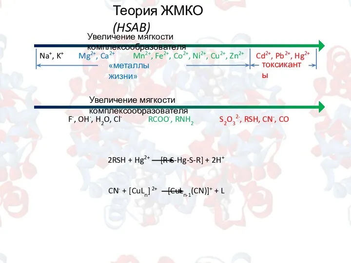 Теория ЖМКО (HSAB) Увеличение мягкости комплексообразователя Na+, K+ Mg2+, Ca2+ Mn2+, Fe2+,
