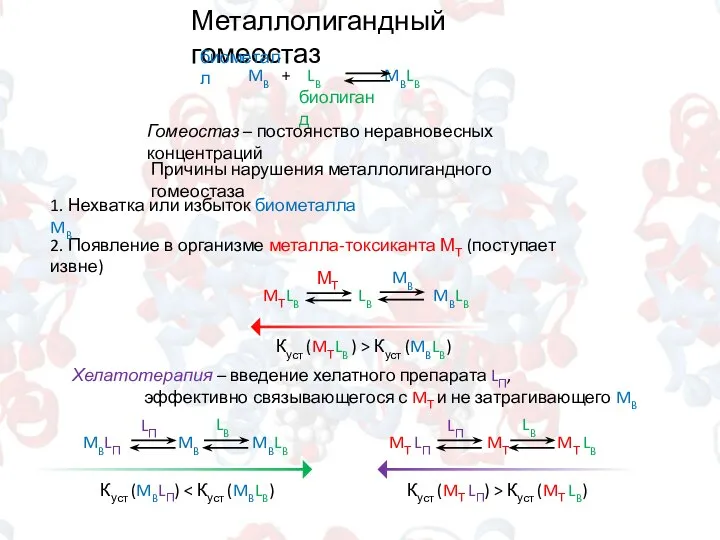 Металлолигандный гомеостаз биометалл биолиганд Гомеостаз – постоянство неравновесных концентраций 2. Появление в