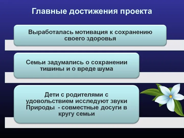 Главные достижения проекта