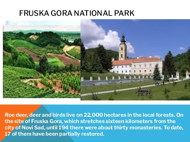 FRUSKA GORA NATIONAL PARK Roe deer, deer and birds live on 22,000