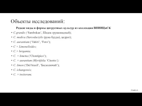 Объекты исследований: Слайд 4 Редкие виды и формы цитрусовых культур из коллекции