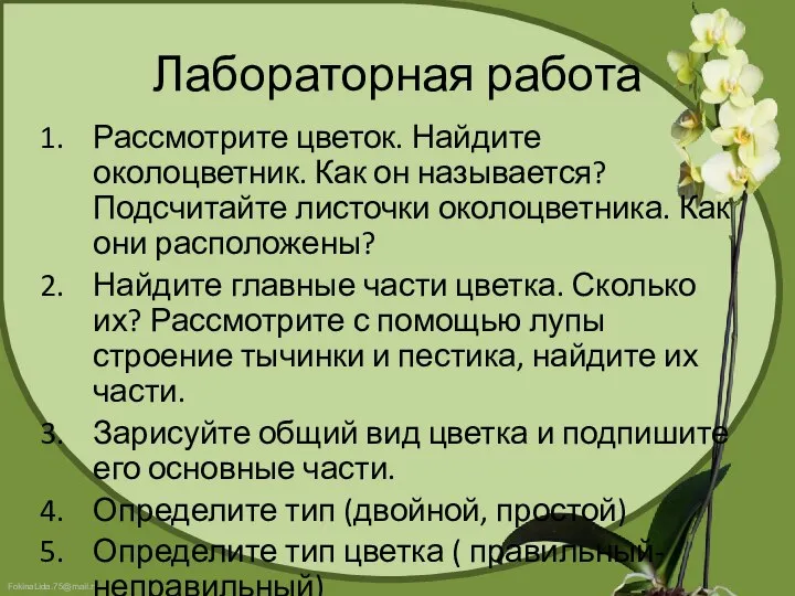 Лабораторная работа Рассмотрите цветок. Найдите околоцветник. Как он называется? Подсчитайте листочки околоцветника.