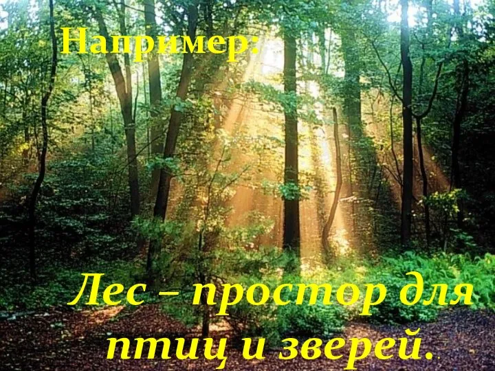 Лес – простор для птиц и зверей.. Например: