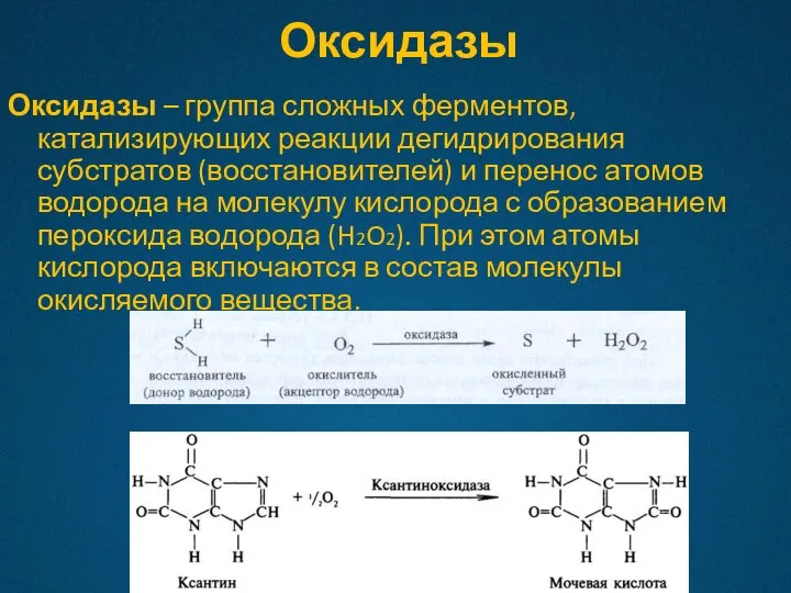 Оксидазы Оксидазы – группа сложных ферментов, катализирующих реакции дегидрирования субстратов (восстановителей) и