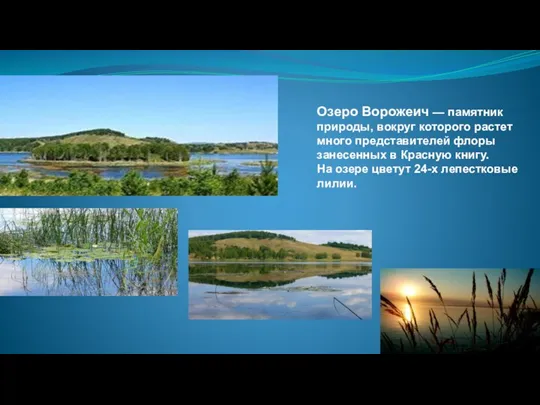 Озеро Ворожеич — памятник природы, вокруг которого растет много представителей флоры занесенных