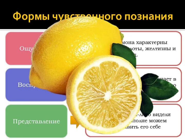 Формы чувственного познания - для лимона характерны ощущения кислоты, желтизны и т.д.