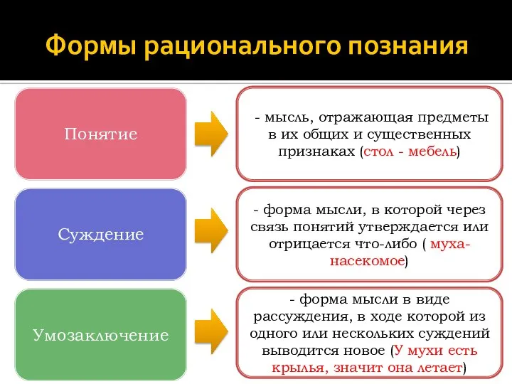 Формы рационального познания - мысль, отражающая предметы в их общих и существенных