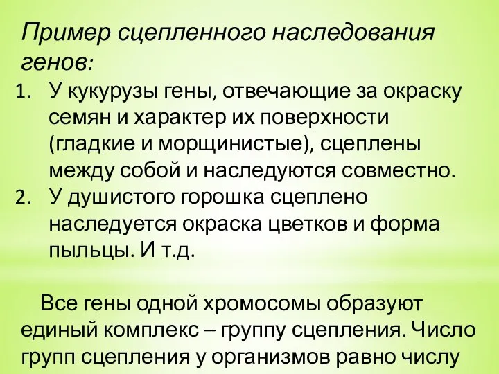 Пример сцепленного наследования генов: У кукурузы гены, отвечающие за окраску семян и