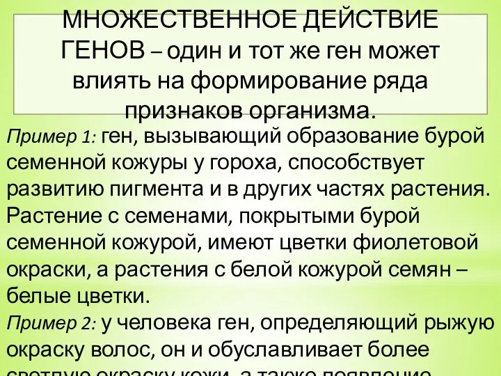 Пример 1: ген, вызывающий образование бурой семенной кожуры у гороха, способствует развитию