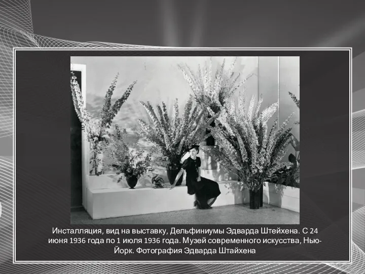 Инсталляция, вид на выставку, Дельфиниумы Эдварда Штейхена. С 24 июня 1936 года