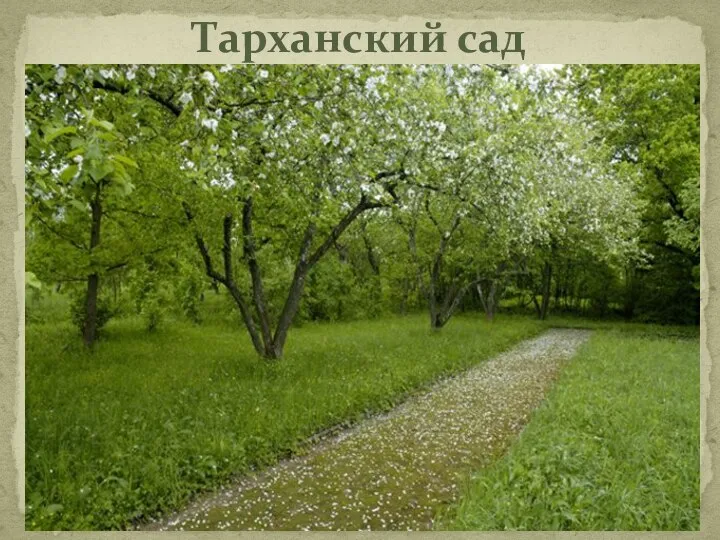 Тарханский сад