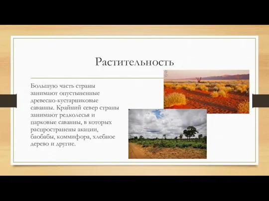 Растительность Большую часть страны занимают опустыненные древесно-кустарниковые саванны. Крайний север страны занимают