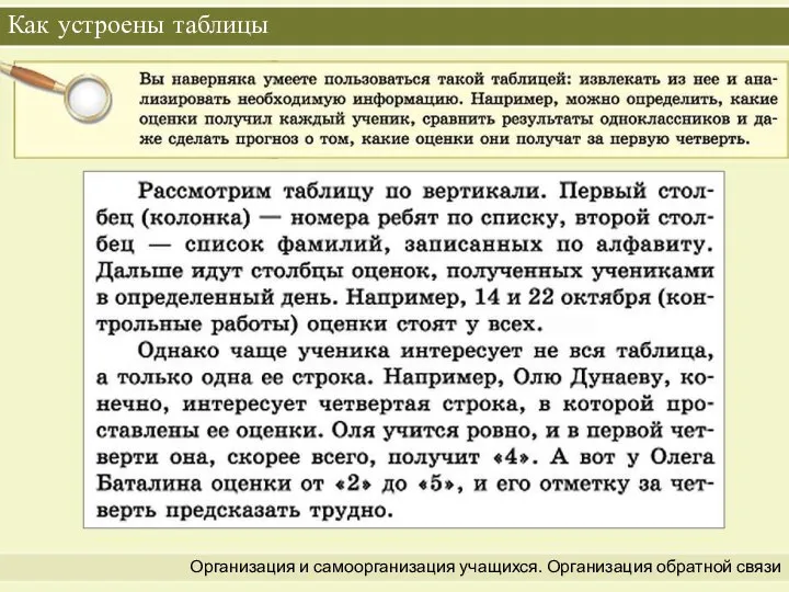 Организация и самоорганизация учащихся. Организация обратной связи Как устроены таблицы