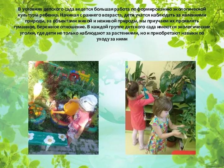 В условиях детского сада ведется большая работа по формированию экологической культуры ребенка.