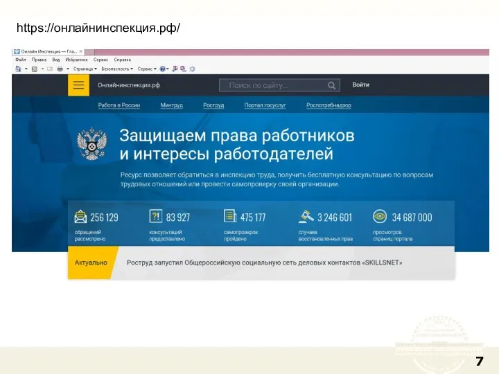 https://онлайнинспекция.рф/