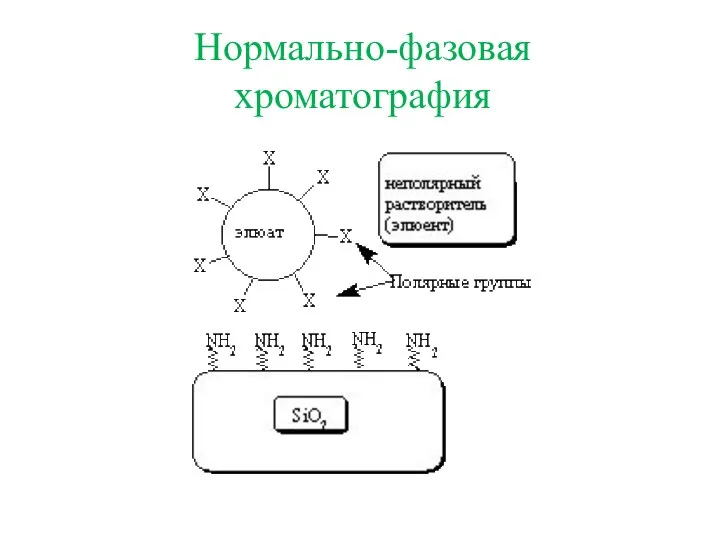 Нормально-фазовая хроматография