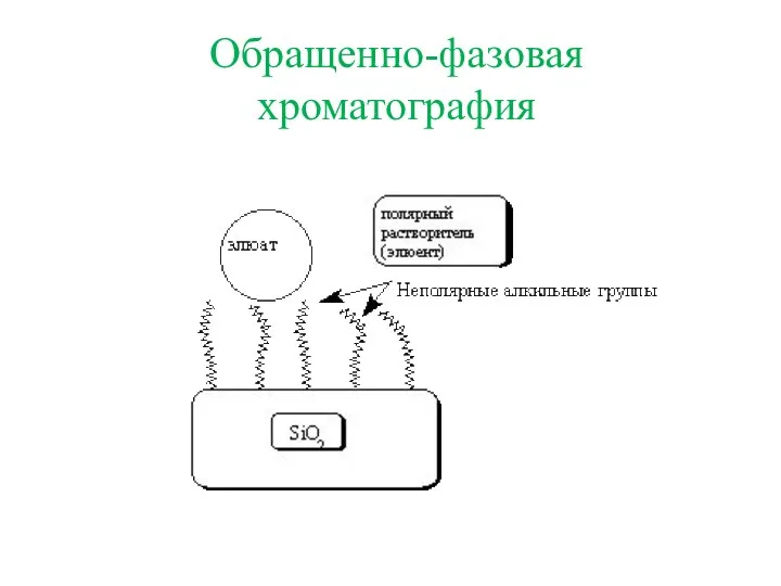 Обращенно-фазовая хроматография