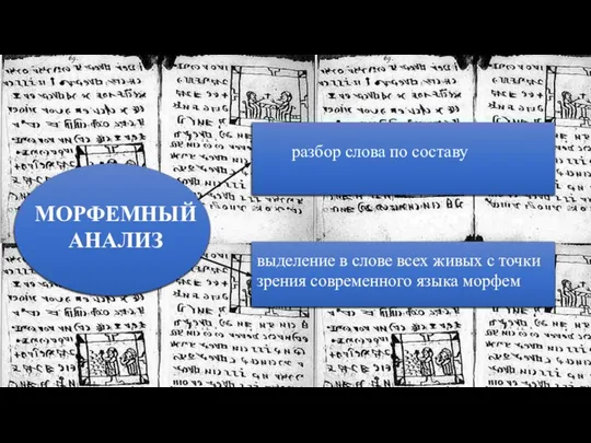 МОРФЕМНЫЙ АНАЛИЗ выделение в слове всех живых с точки зрения современного языка