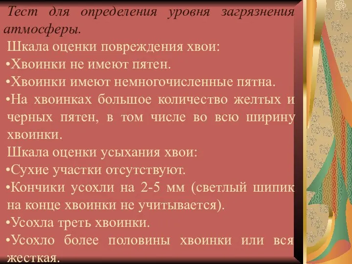 Тест для определения уровня загрязнения атмосферы. Шкала оценки повреждения хвои: Хвоинки не