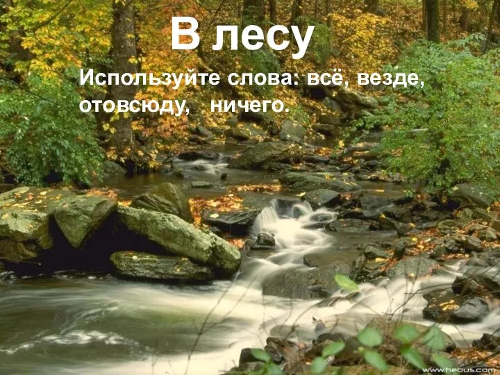 В лесу Используйте слова: всё, везде, отовсюду, ничего.