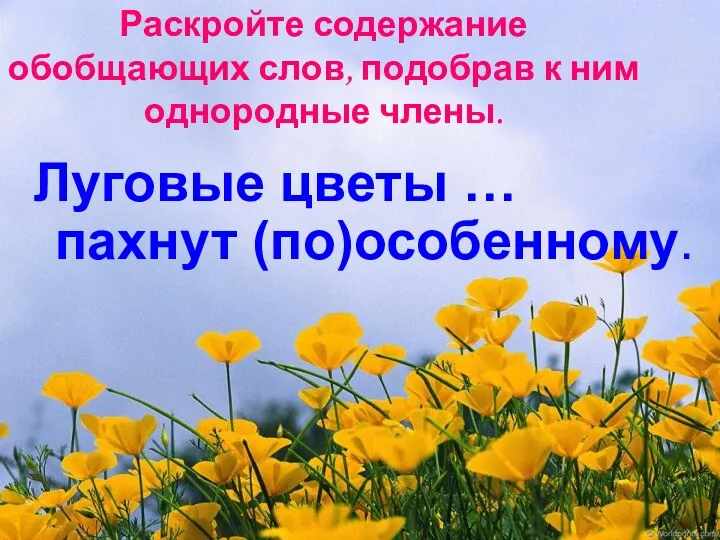 Раскройте содержание обобщающих слов, подобрав к ним однородные члены. Луговые цветы … пахнут (по)особенному.