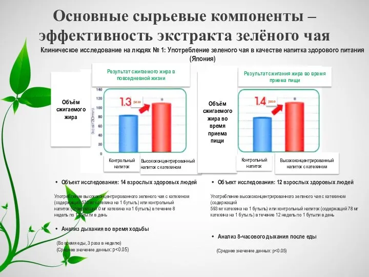 Основные сырьевые компоненты – эффективность экстракта зелёного чая Клиническое исследование на людях