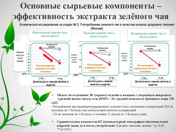 Основные сырьевые компоненты – эффективность экстракта зелёного чая Объект исследования: 80 здоровых